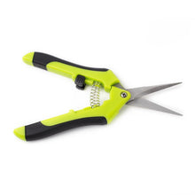 Buddy Trimmer Straight Stainless Steel Scissors