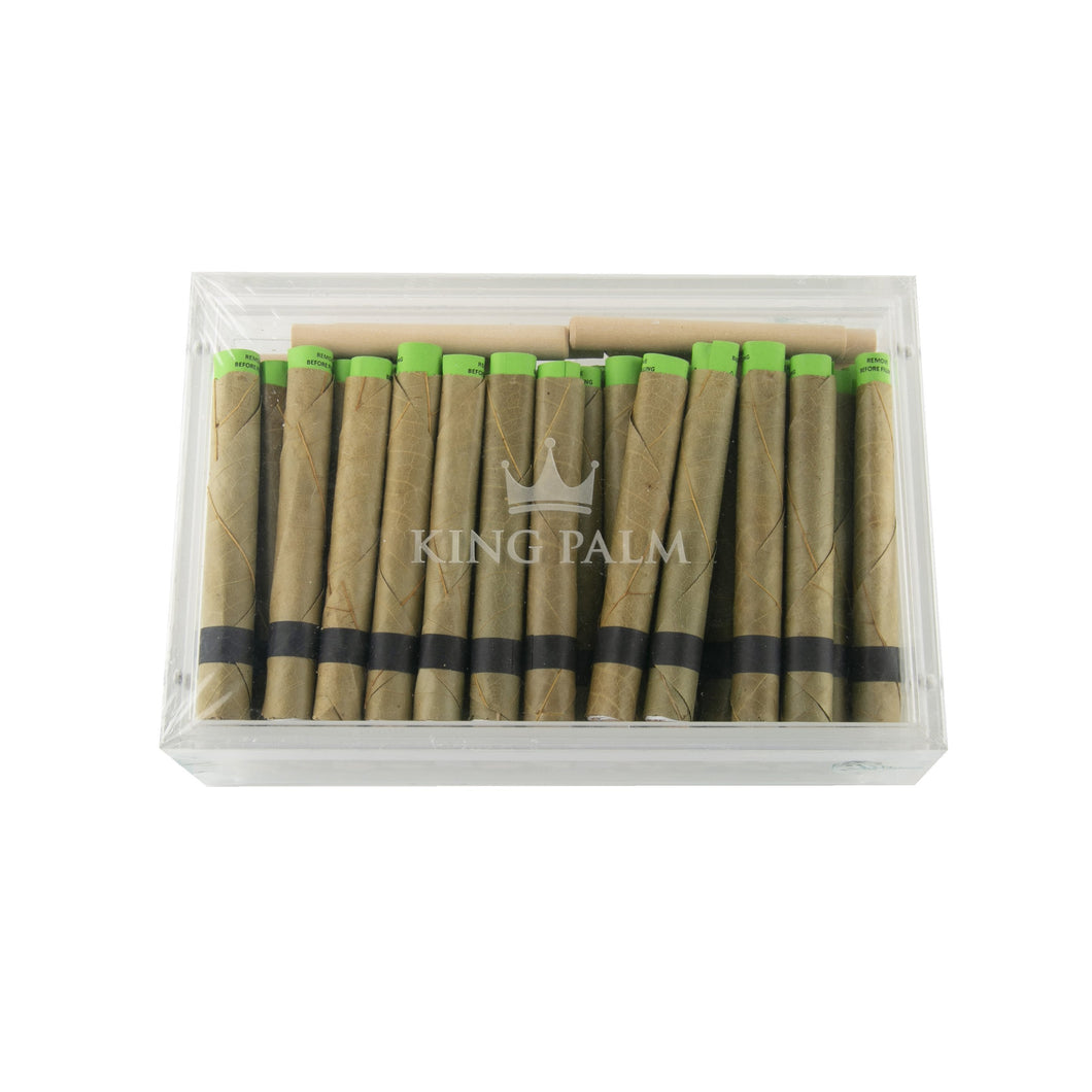 King Palm Humidor - XL