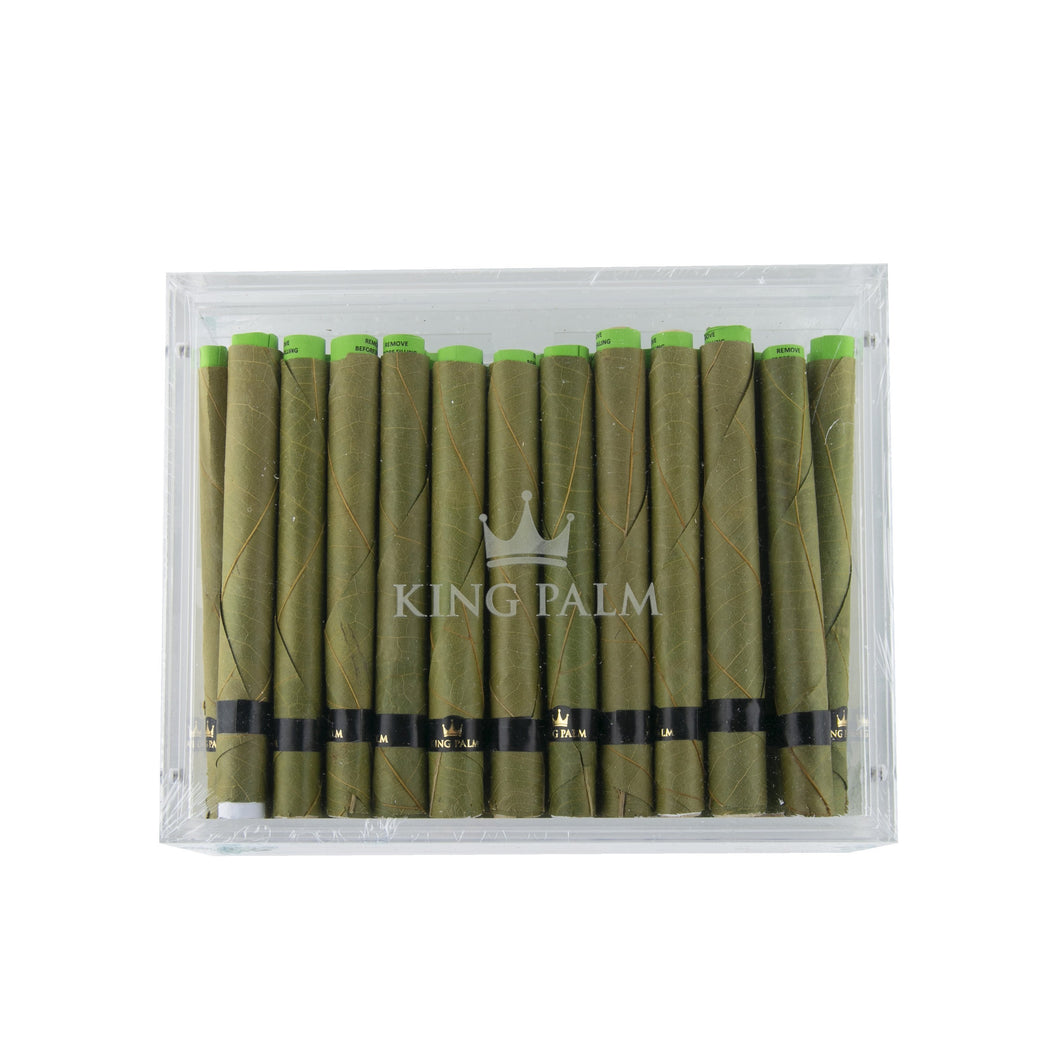 King Palm Humidor - XXL